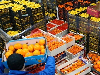 Вакансія для сортувальника фруктів на заводі в Польщі